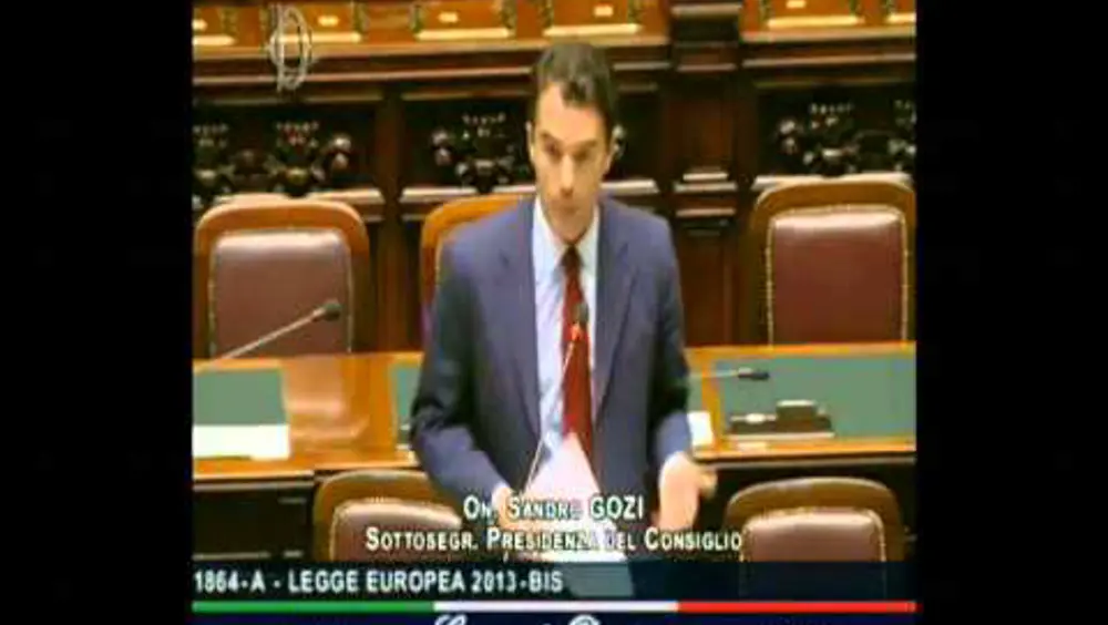 Leggi europee 2013, intervento in Aula