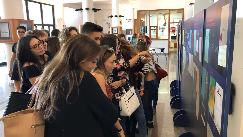 Ever Closer Union  a Ferrara