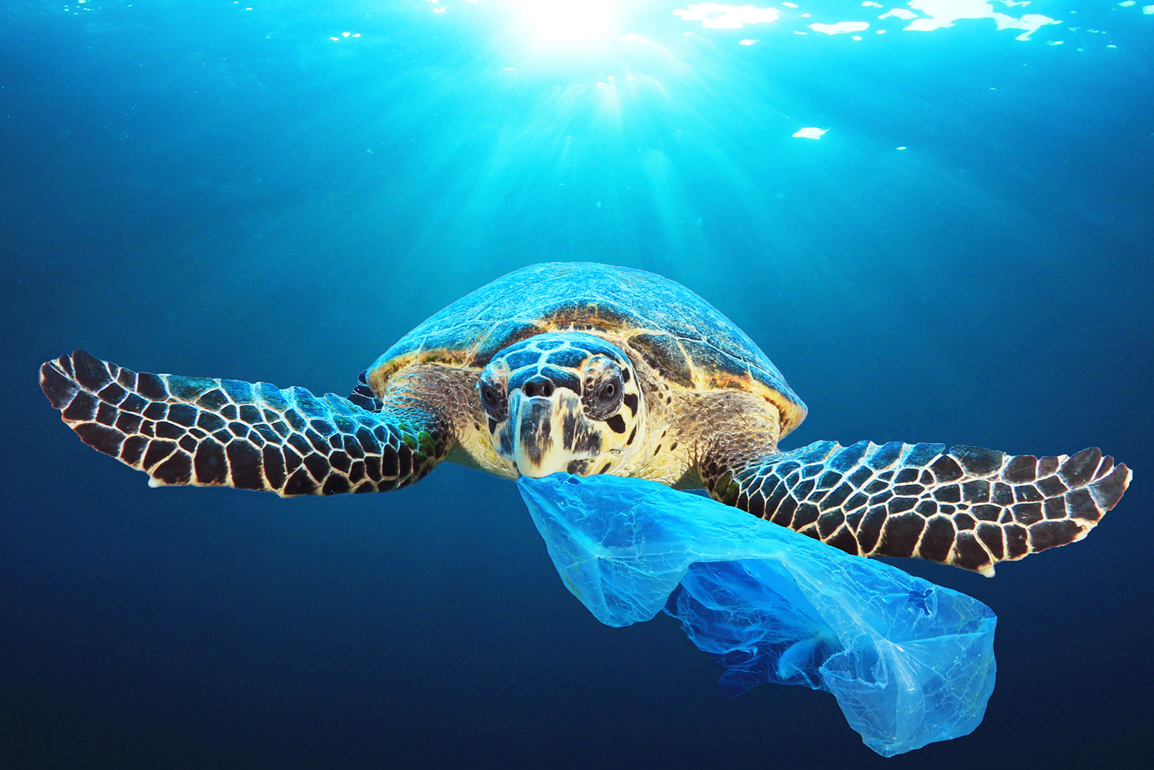 Unione Europea: stop alla plastica monouso entro il 2021