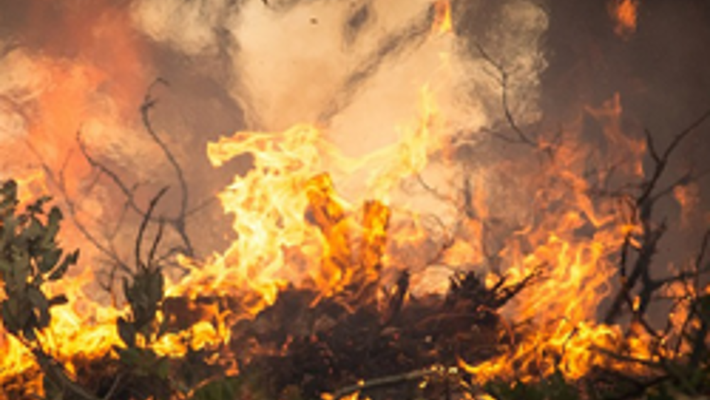 Varata la prima flotta aerea antincendio dell'UE