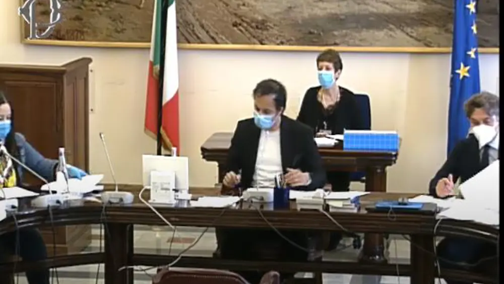 Commissione Politiche UE della Camera, interrogazioni a risposta immediata su Covid