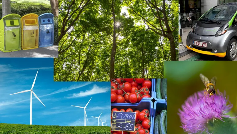 Sottosegretario Amendola: "Bene nuove linee guida su aiuti di Stato, avanti con pragmatismo"