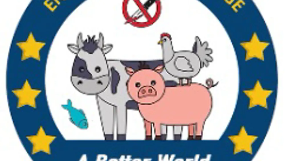 Maggiore tutela dei cavalli, inizia raccolta delle firme